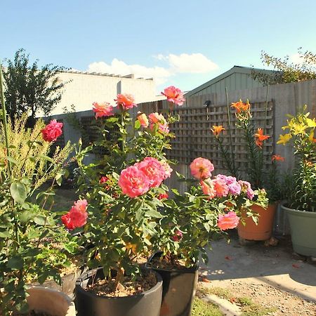 Cooma Cottage ภายนอก รูปภาพ
