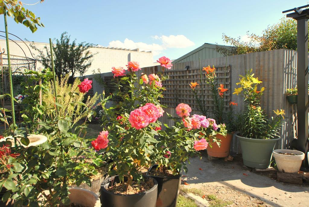 Cooma Cottage ภายนอก รูปภาพ